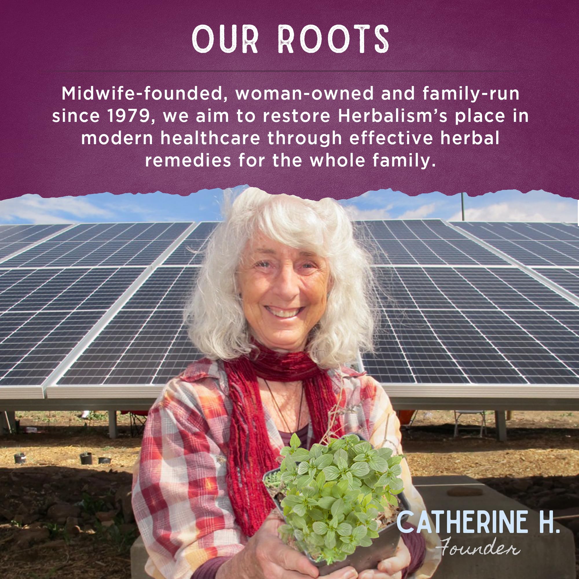 WishGarden Herbs Cycle Changes Herbal Menopause Support - Plant-Based Supplement w/Black Cohosh